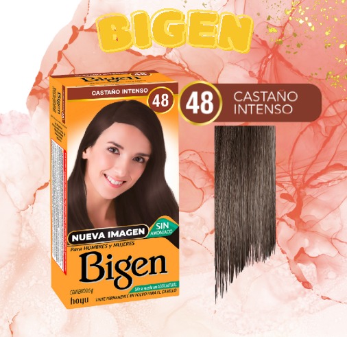 BIGEN TINTE POLVO 6g #48